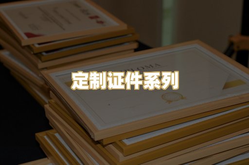 定制证件系列